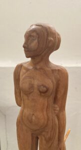 Amazone 56